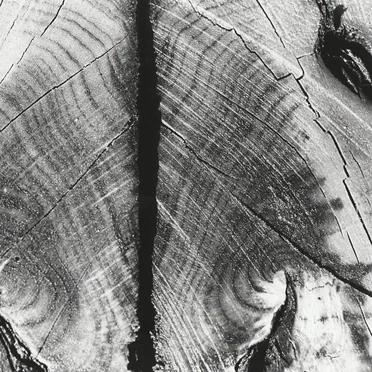 Live at Rhiz, Vienna Austria. May 12th 2003.