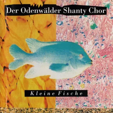 Odenwälder Shantychor