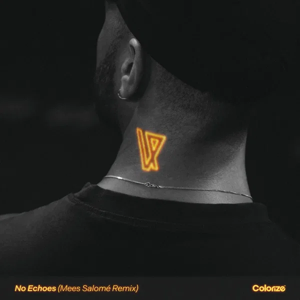 No Echoes (Mees Salomé Remix)