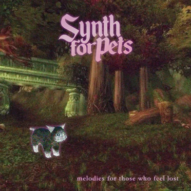 Melodies for Those Who Feel Lost