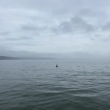 The Return (October 2020)