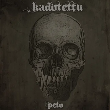 Peto by Kadotettu - album cover