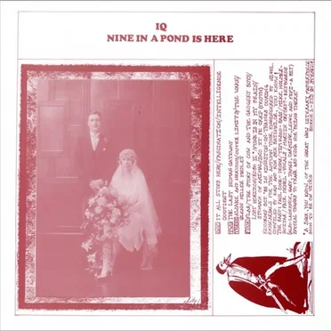 Nine in a Pond Is Here