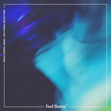 Nocturnal Reflections (432 Hz)