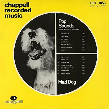 Pop Sounds by Mad Dog - album cover