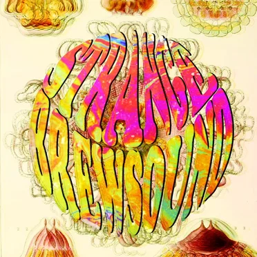 Strange Sound by Khana Bierbood / คณะเบียร์บูด - album cover