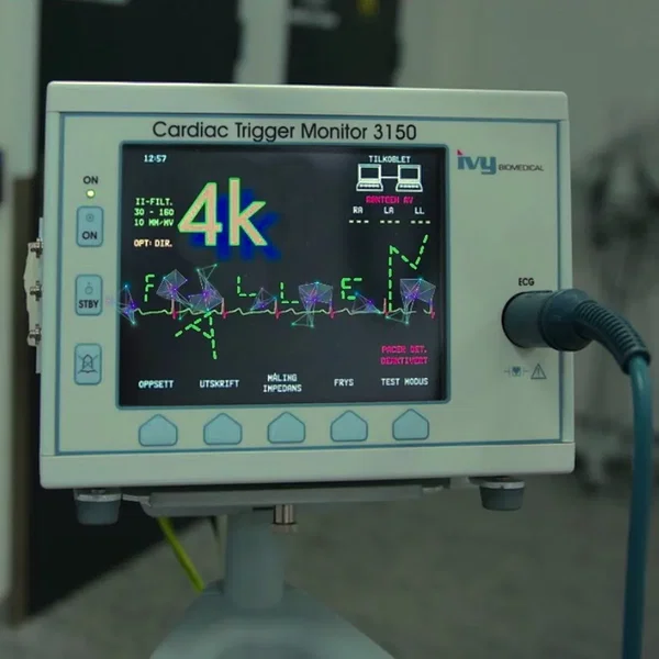 `’·..fallen...·’.·’