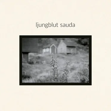 Sauda