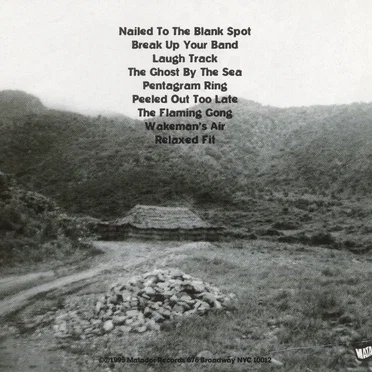 Gone Glimmering by Chavez - album cover