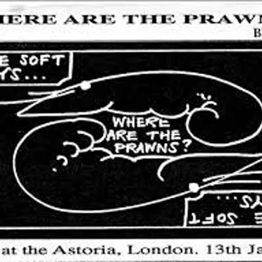 Where Are the Prawns?