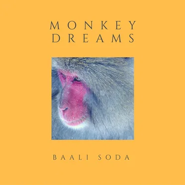 Monkey Dreams EP