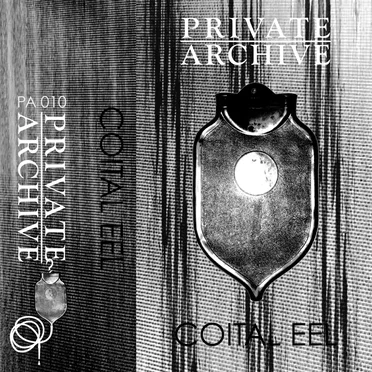 Coital Eel by Private Archive - album cover