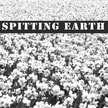 Summer 2013 Demo by Spitting Earth - album cover