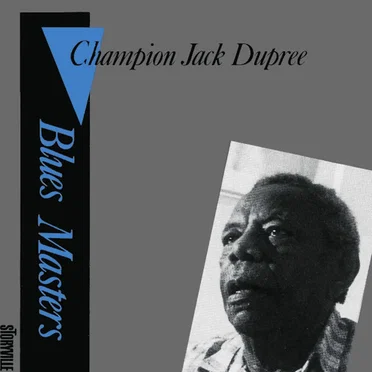 Blues Masters, Vol. 6