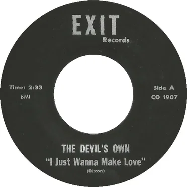I Just Wanna Make Love / Hey Joe by The Devil's Own - album cover