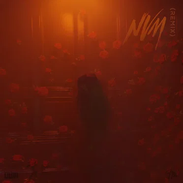 NVM (Remix)