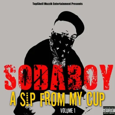 Been a Long Time by SodaBoy - album cover