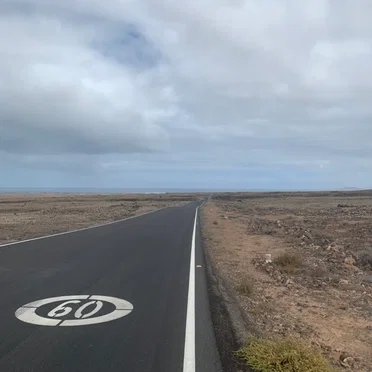 the spider in my room