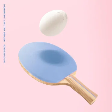 Nothing You Can't Live Without by The Corvideros - album cover