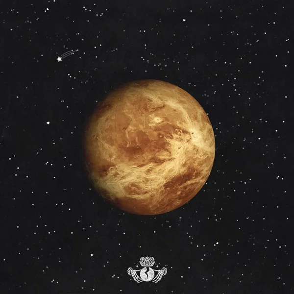 Trips to Venus