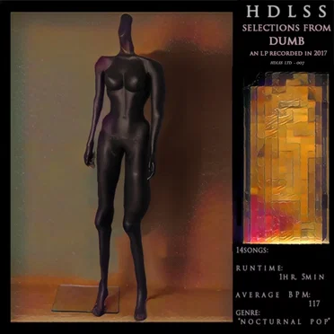 Selections From DUMB by HDLSS - album cover