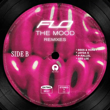 The Mood (Remixes)
