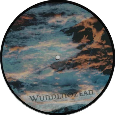 Wundenozean by Paragon of Beauty - album cover