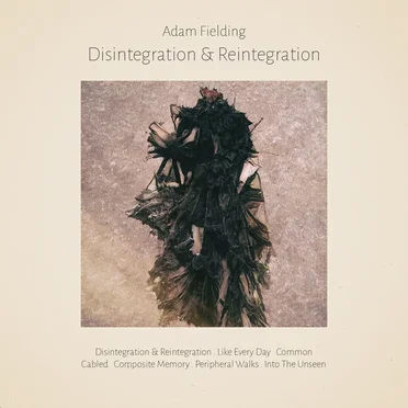 Disintegration & Reintegration by Adam Fielding - album cover