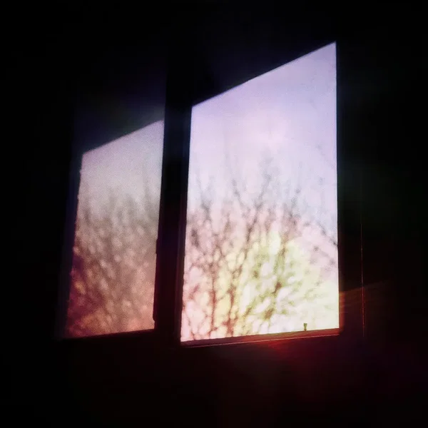 HORIZONS