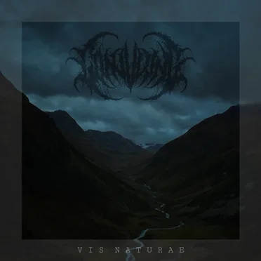 Vis Naturae by Conjuring - album cover