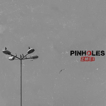 Zmei by PINHOLES - album cover