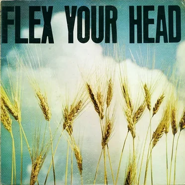 Flex Your Head by Various Artists - album cover