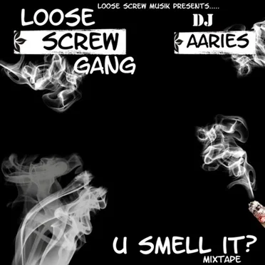 U Smell It? by Loose Screw Gang - album cover