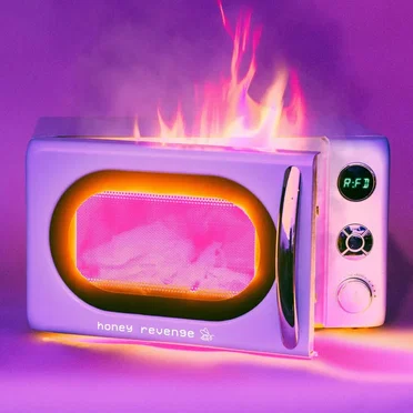 Recipe For Disaster by Honey Revenge - album cover