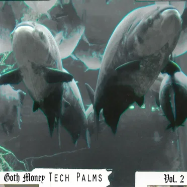 Goth Money Tech Palms for the 99-2005 by Goth Money - album cover