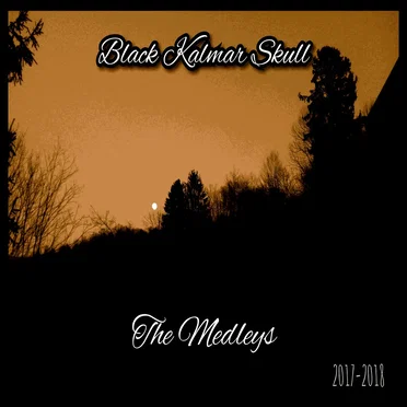The Medleys: 2017–2018