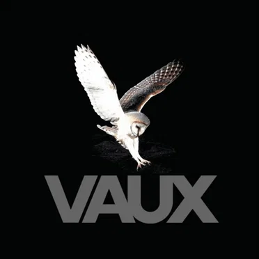 Beyond Virtue, Beyond Vice by Vaux - album cover