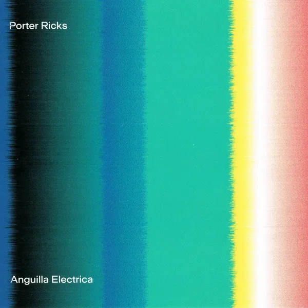 Anguilla Electrica