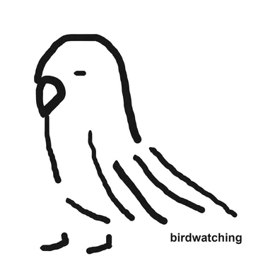birdwatching