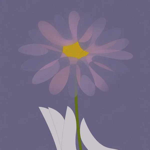 Reminiscence