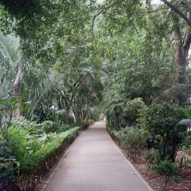 Parque México
