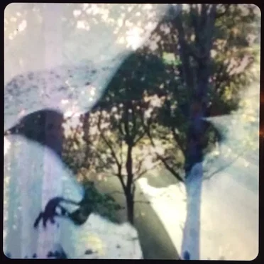 Grey Stone in the Wood by Dark Leaves - album cover