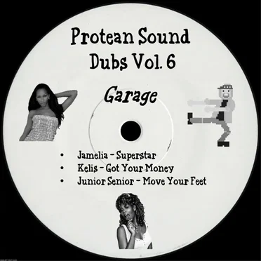Protean Sound Dubs Vol. 6 (Garage)