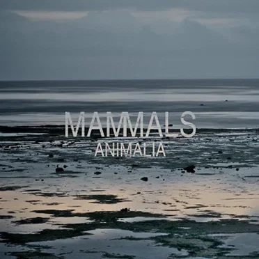 Animalia - EP