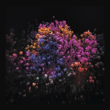 San Luis Pass by Will Van Horn - album cover