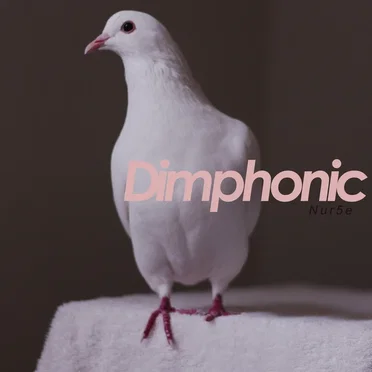 Nur5e by Dimphonic - album cover