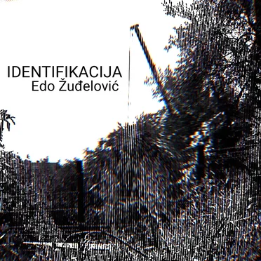 Identifikacija