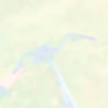 0365