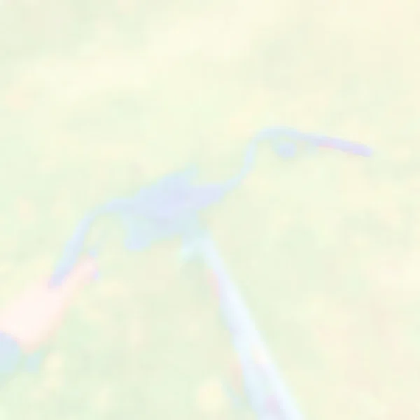 0365