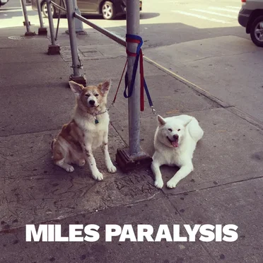 Miles Paralysis by Miles Paralysis - album cover